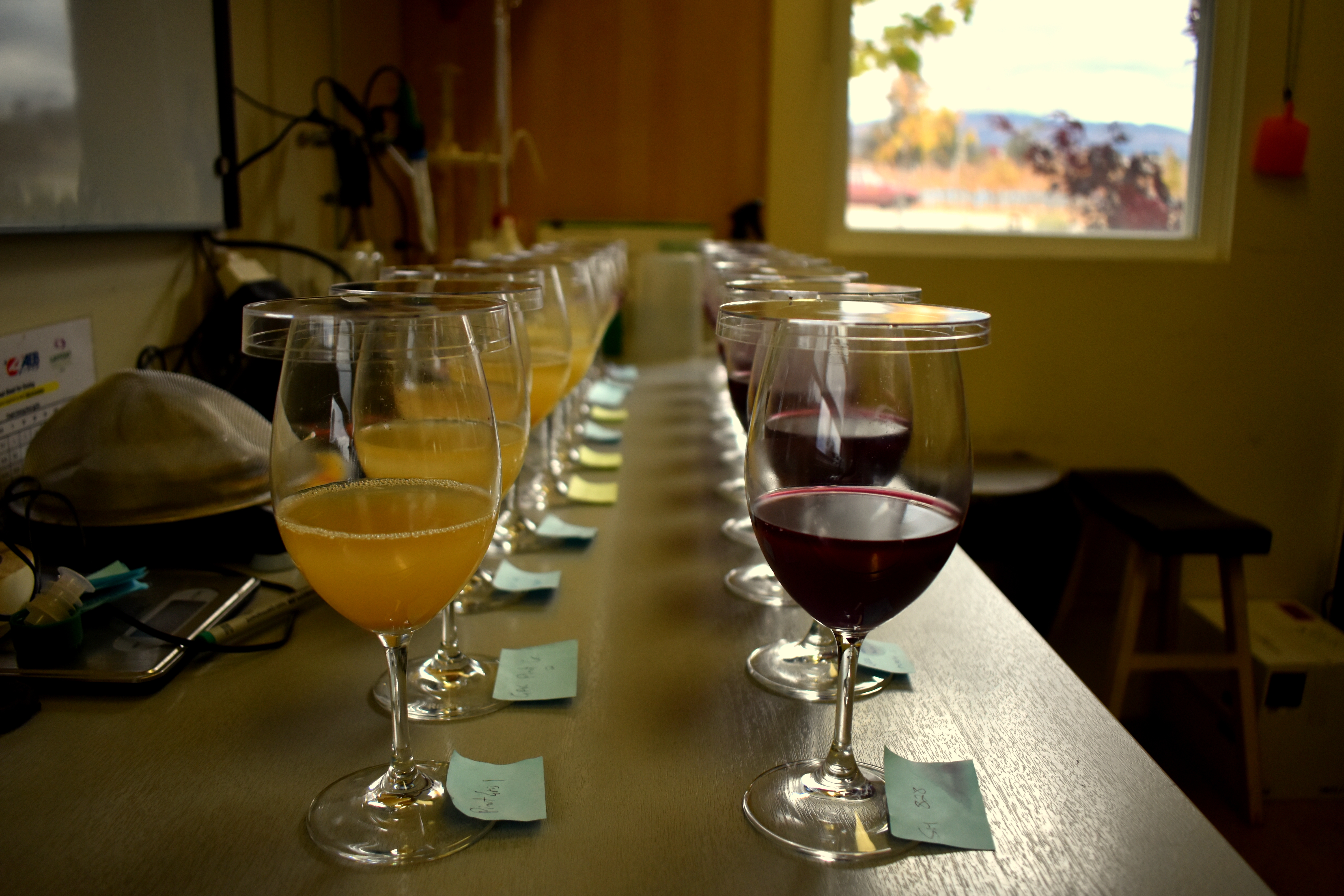 Tasting Room - Events
