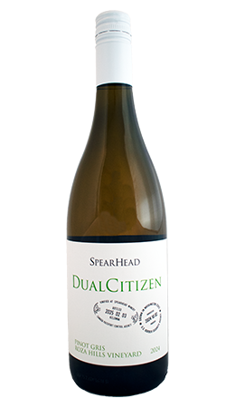 2024 Pinot Gris